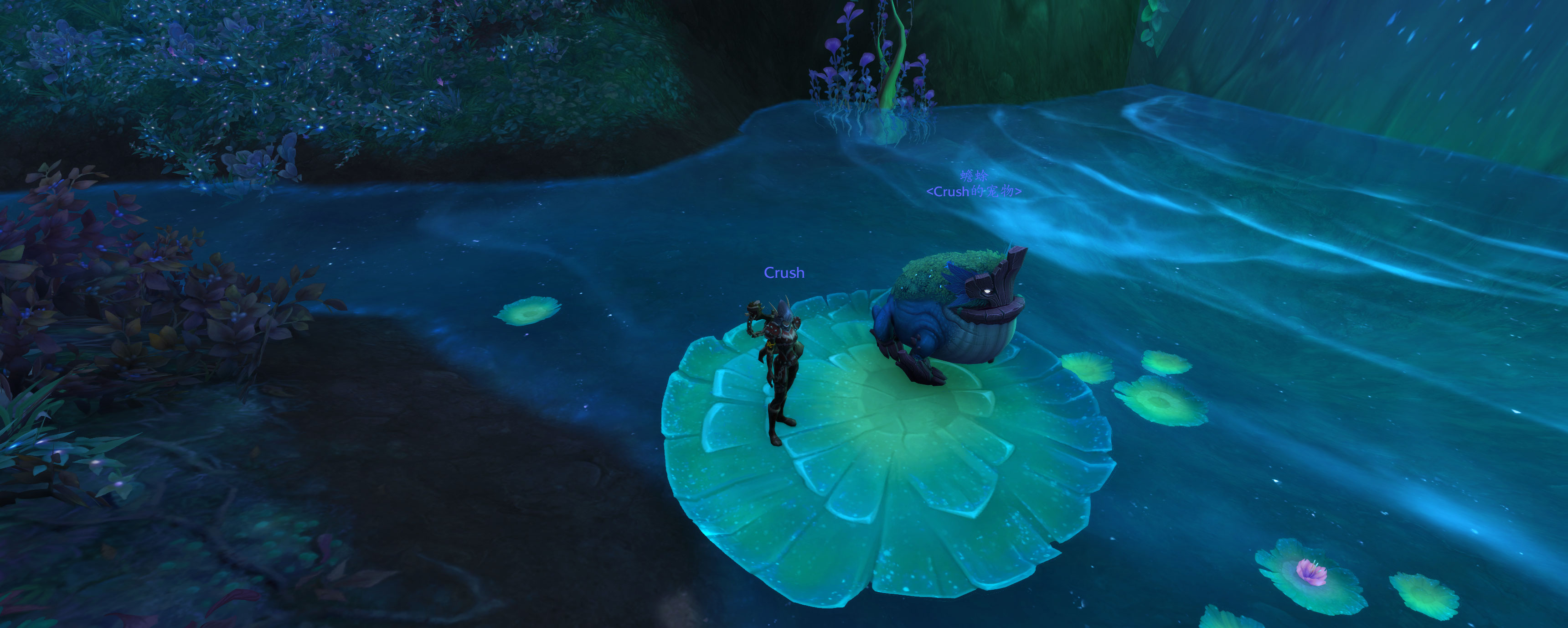 《魔兽世界》蟾蜍出处一览