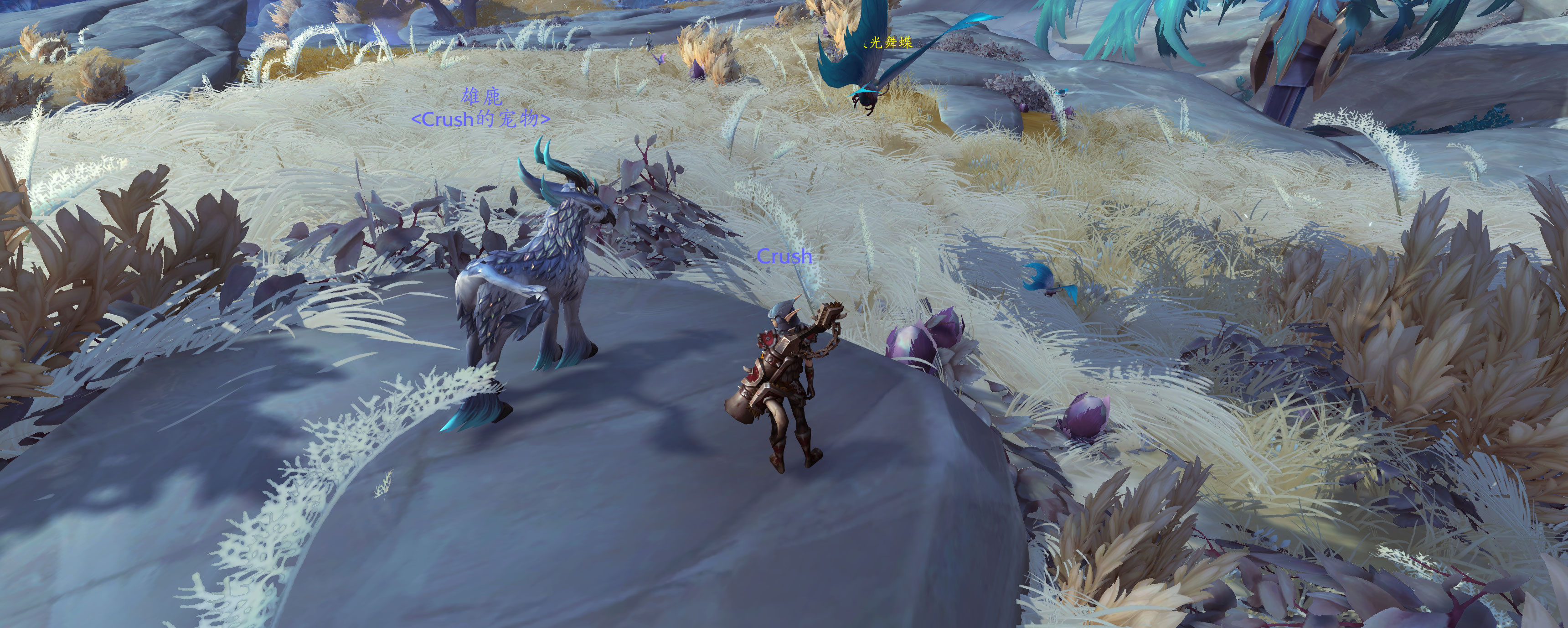 《魔兽世界》踏云兽刷新介绍