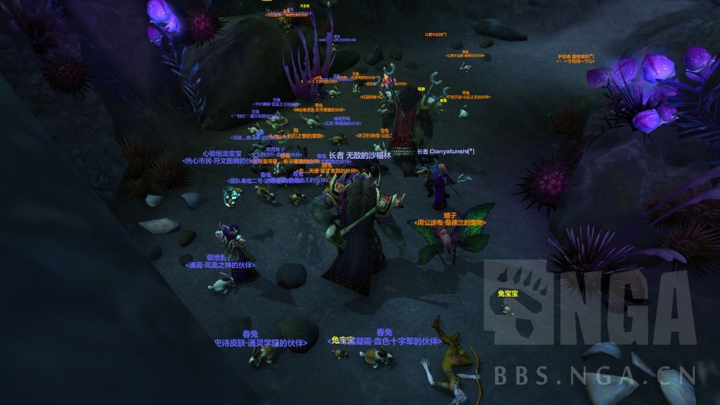 《魔兽世界》9.0宠物对战介绍