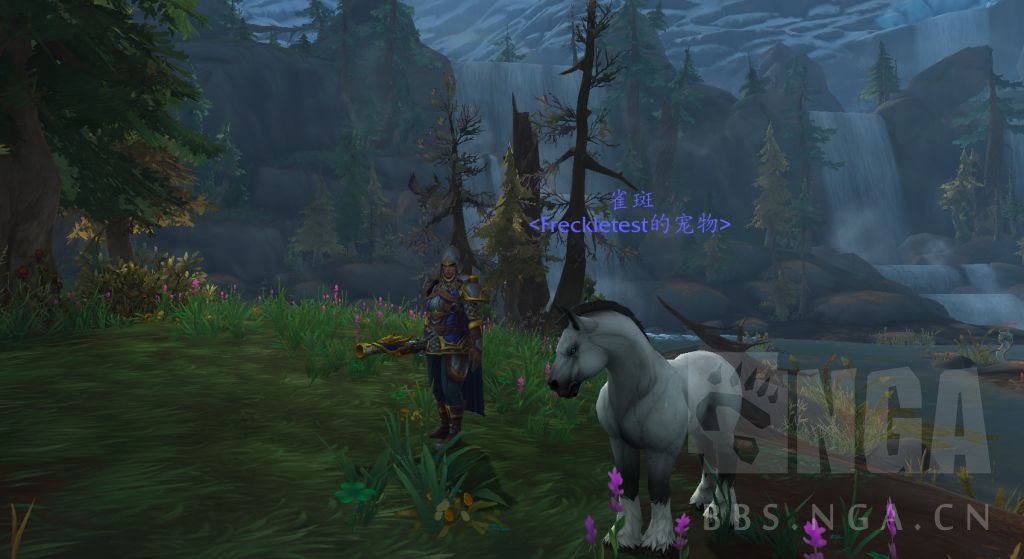 《魔兽世界》雀斑介绍