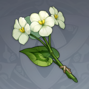 《原神》区域特产大全