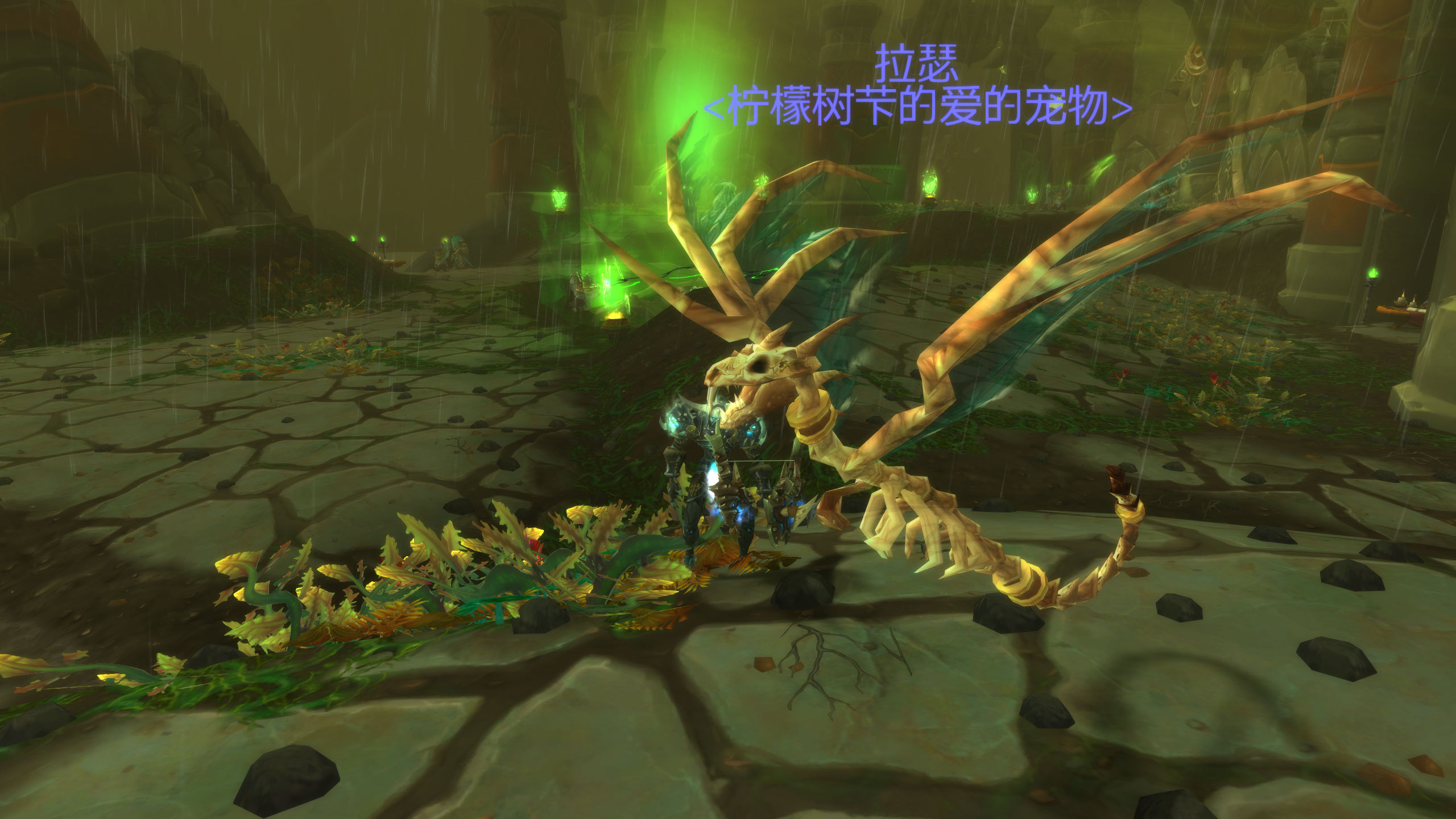 《魔兽世界》双翅妖龙抓取地点