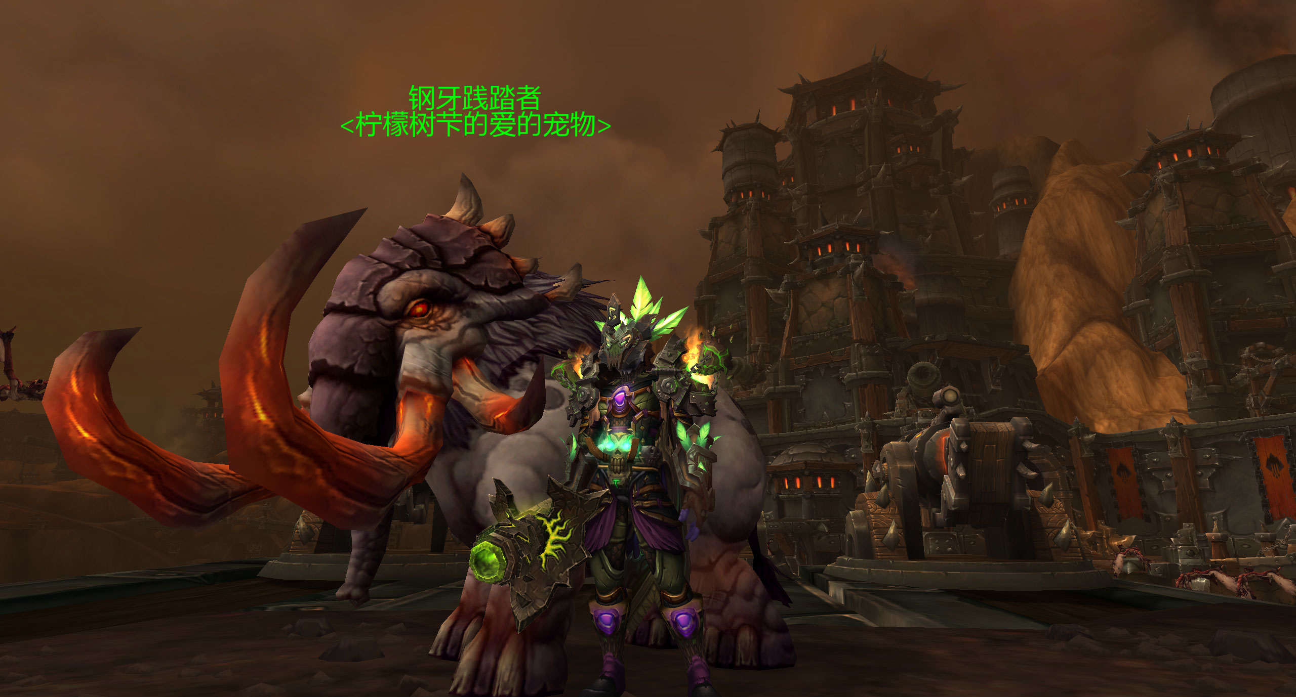 《魔兽世界》9.0前夕稀有宝宝大全