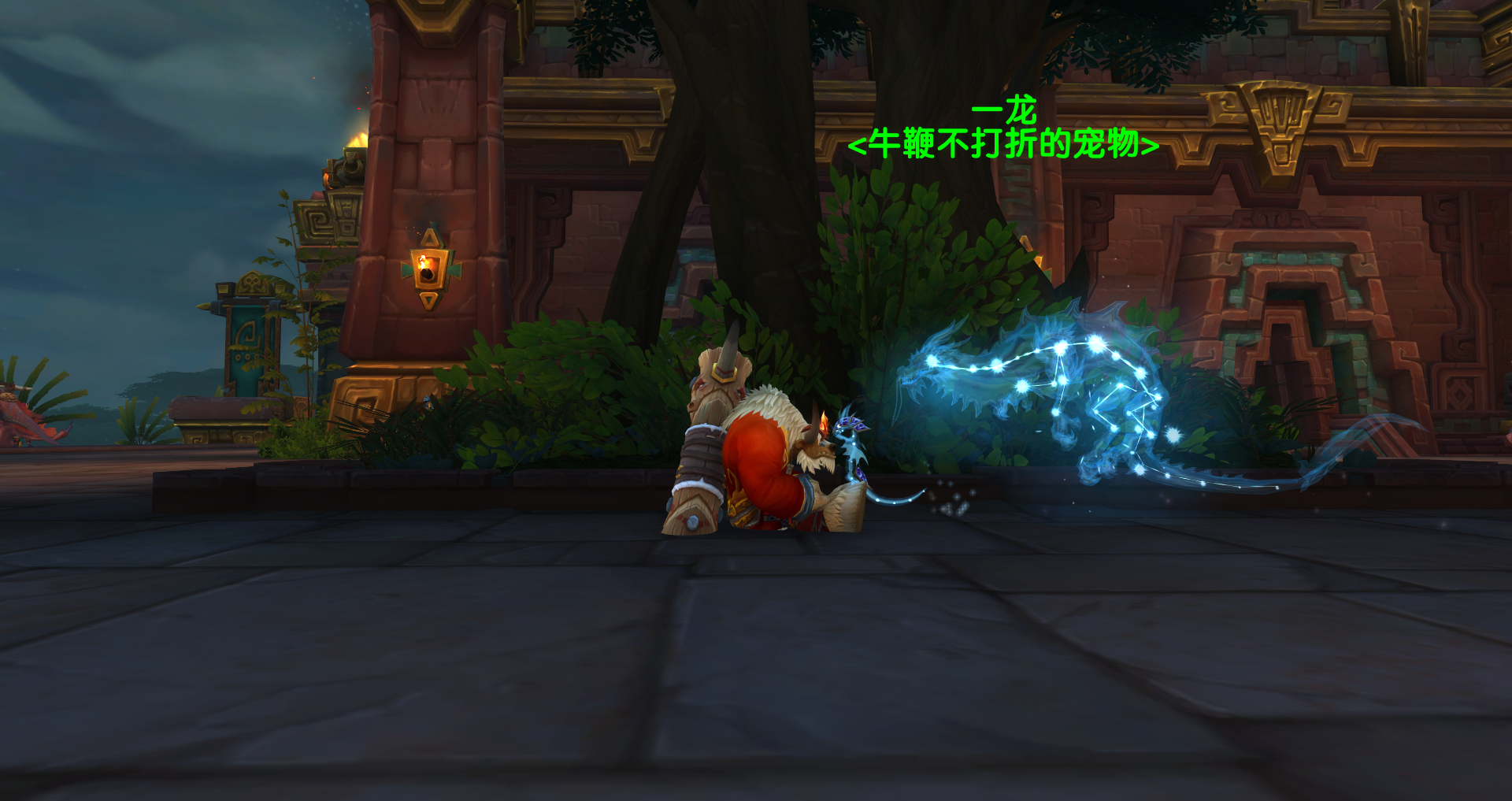 《魔兽世界》9.0前夕稀有宝宝大全