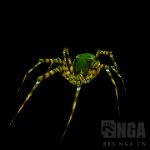 魔兽世界纳克萨玛斯阿努布雷坎攻略