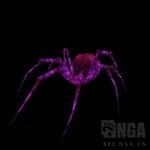 魔兽世界纳克萨玛斯阿努布雷坎攻略