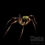 魔兽世界纳克萨玛斯阿努布雷坎攻略