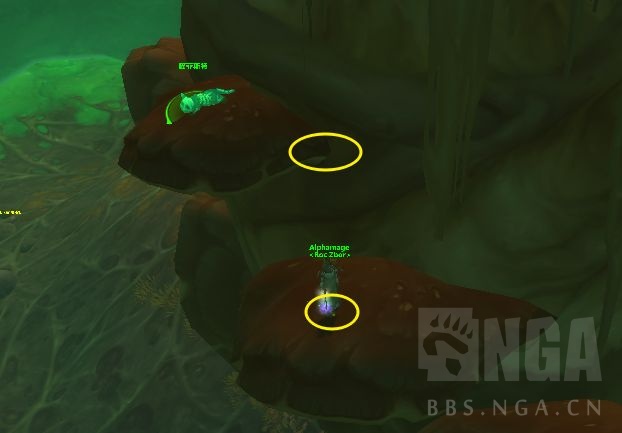 《魔兽世界》喵菲斯特宠爱该死的猫怎么做