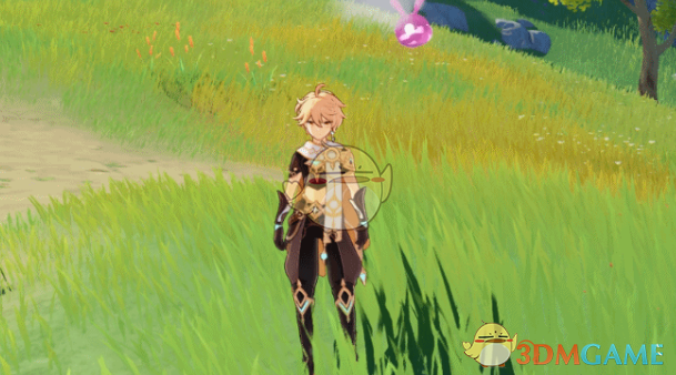 《原神》秘宝迷踪迷你仙灵兑换哪个好