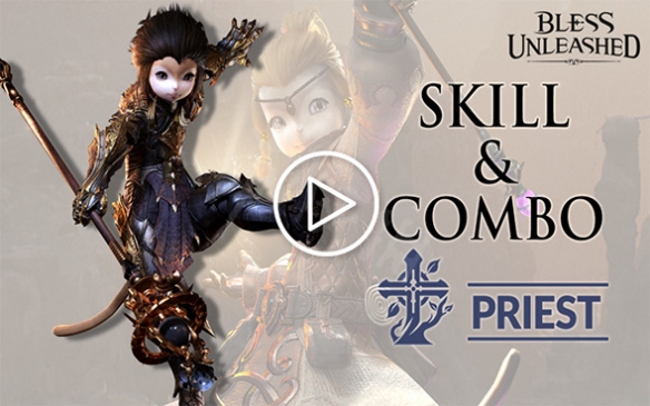 神佑释放每个职业使用的武器是什么