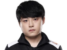 DK战队是哪个国家的