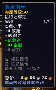 魔兽世界9.2时空漫游皮甲肩膀推荐