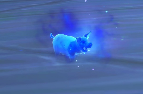 魔兽世界9.2托加斯特法夜变形怎么获得