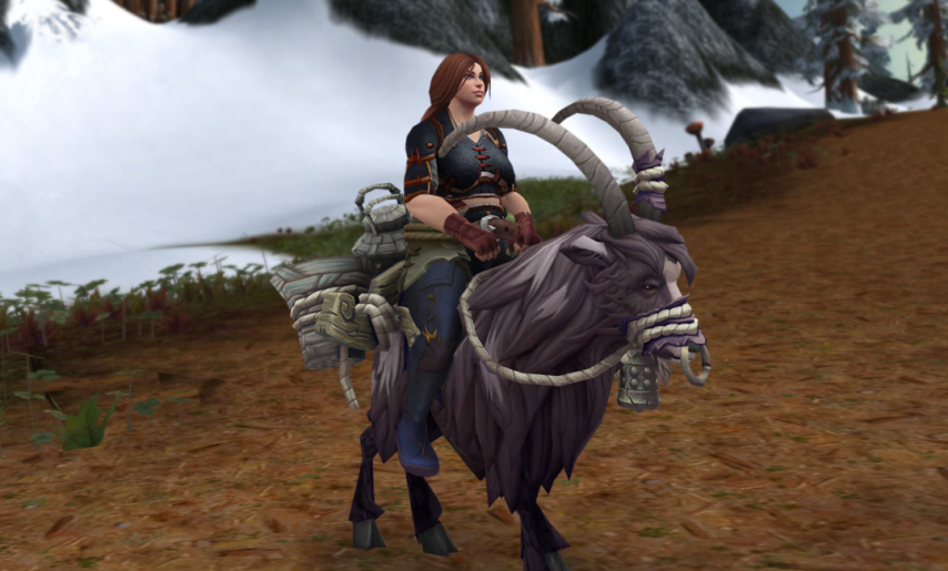 魔兽世界2025年6月商栈物品大全一览