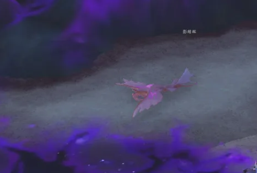 魔兽世界邪斑鱼卵怎么获得