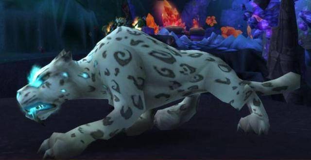 魔兽世界怀旧服灵魂兽位置全部坐标