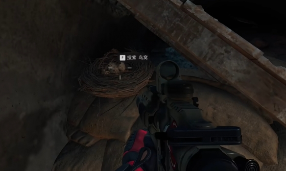 三角洲行动零号大坝鸟窝在哪