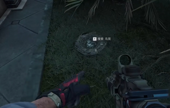 三角洲行动零号大坝鸟窝在哪