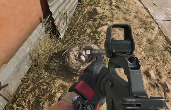 三角洲行动零号大坝鸟窝在哪