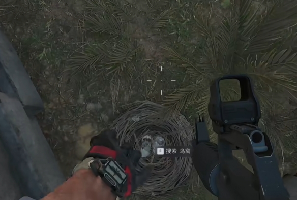 三角洲行动零号大坝鸟窝在哪