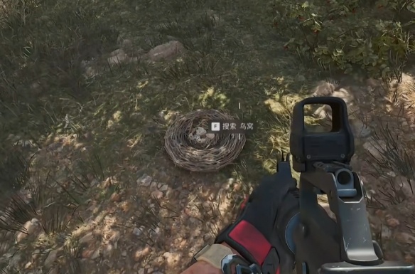 三角洲行动零号大坝鸟窝在哪