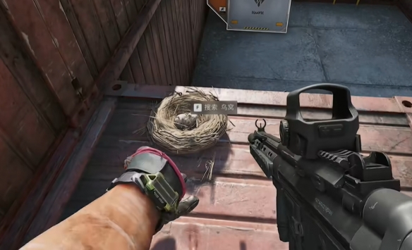 三角洲行动零号大坝鸟窝在哪