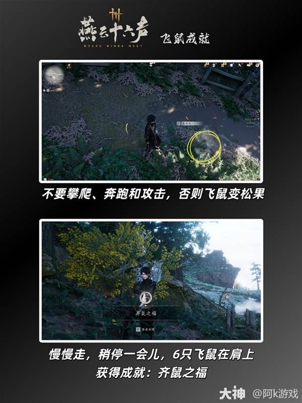 燕云十六声飞鼠成就攻略